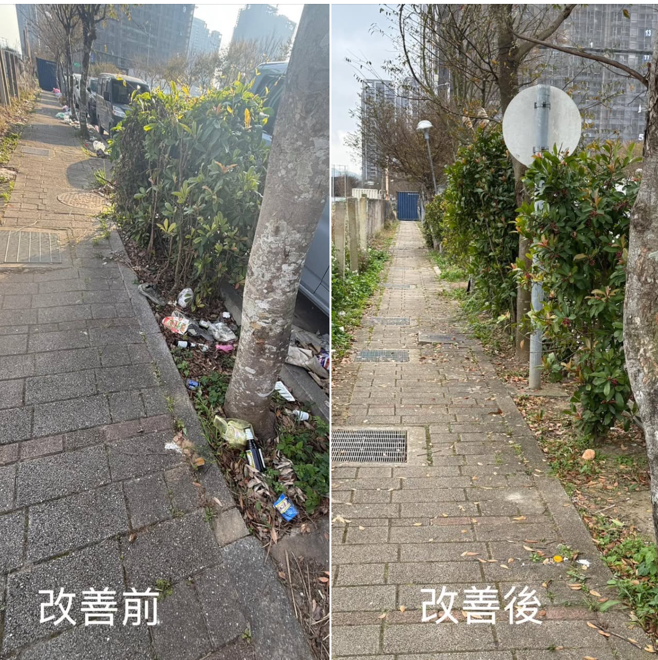 r012-10.jpeg